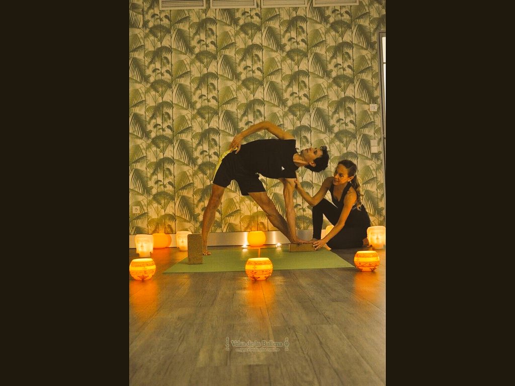 borjayoga's tweet image. ,