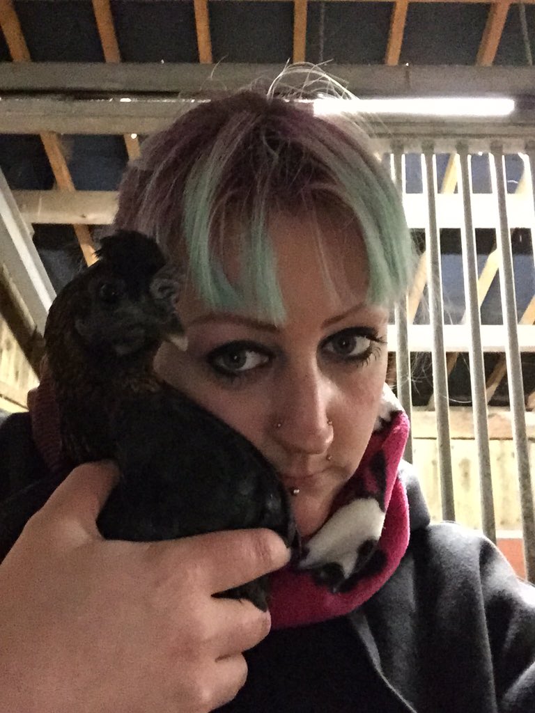 #chicken