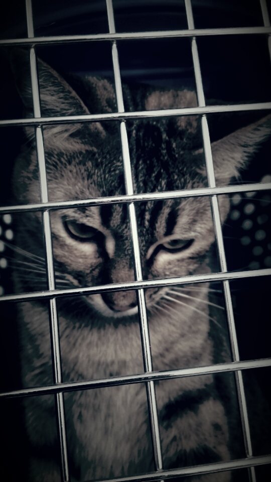 huzun1928's tweet image. #LifeWithoutYou