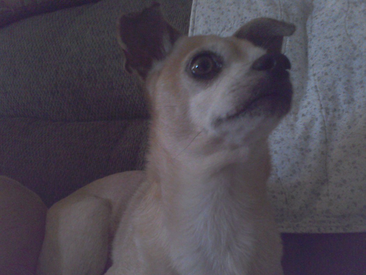 toolbitsbabe's tweet image. 