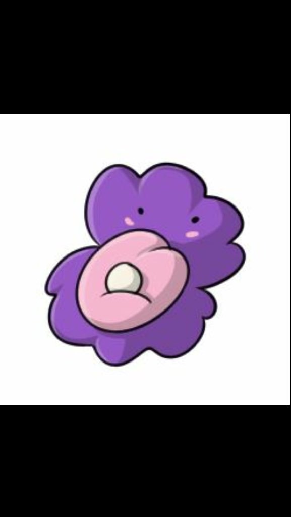 Appdemy tweet picture