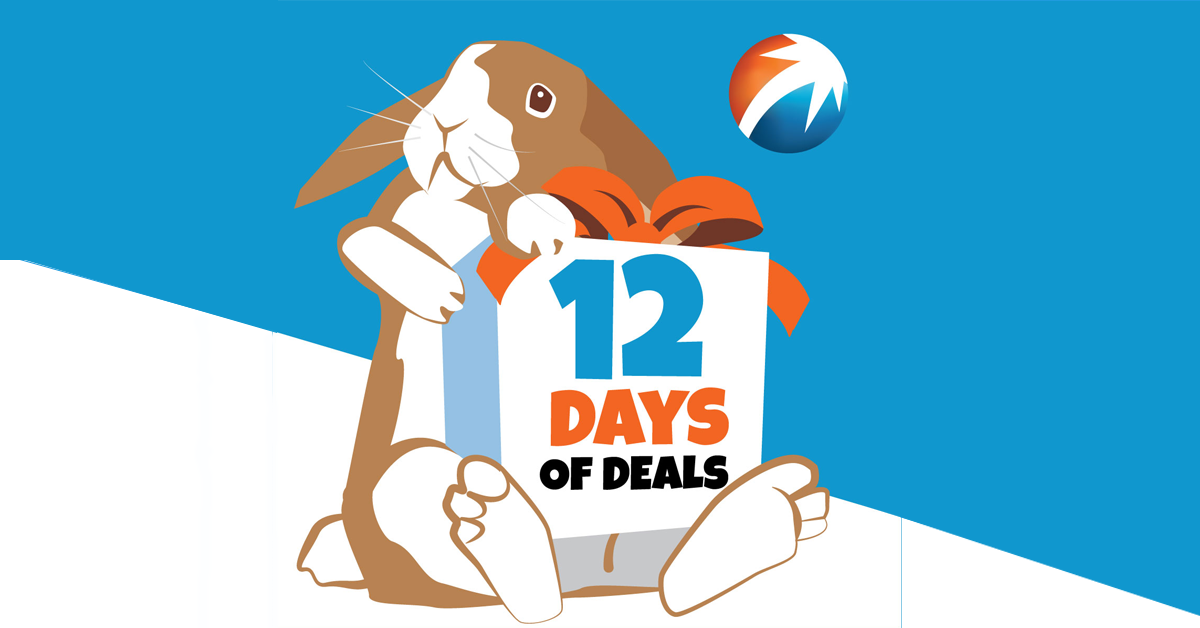 StacyWork22's tweet photo. RT @BounceEnergy Make Bounce Energy your electric company and enjoy the rewards!  - https://t.co/UbLPBxdGze https://t.co/burizhiV34