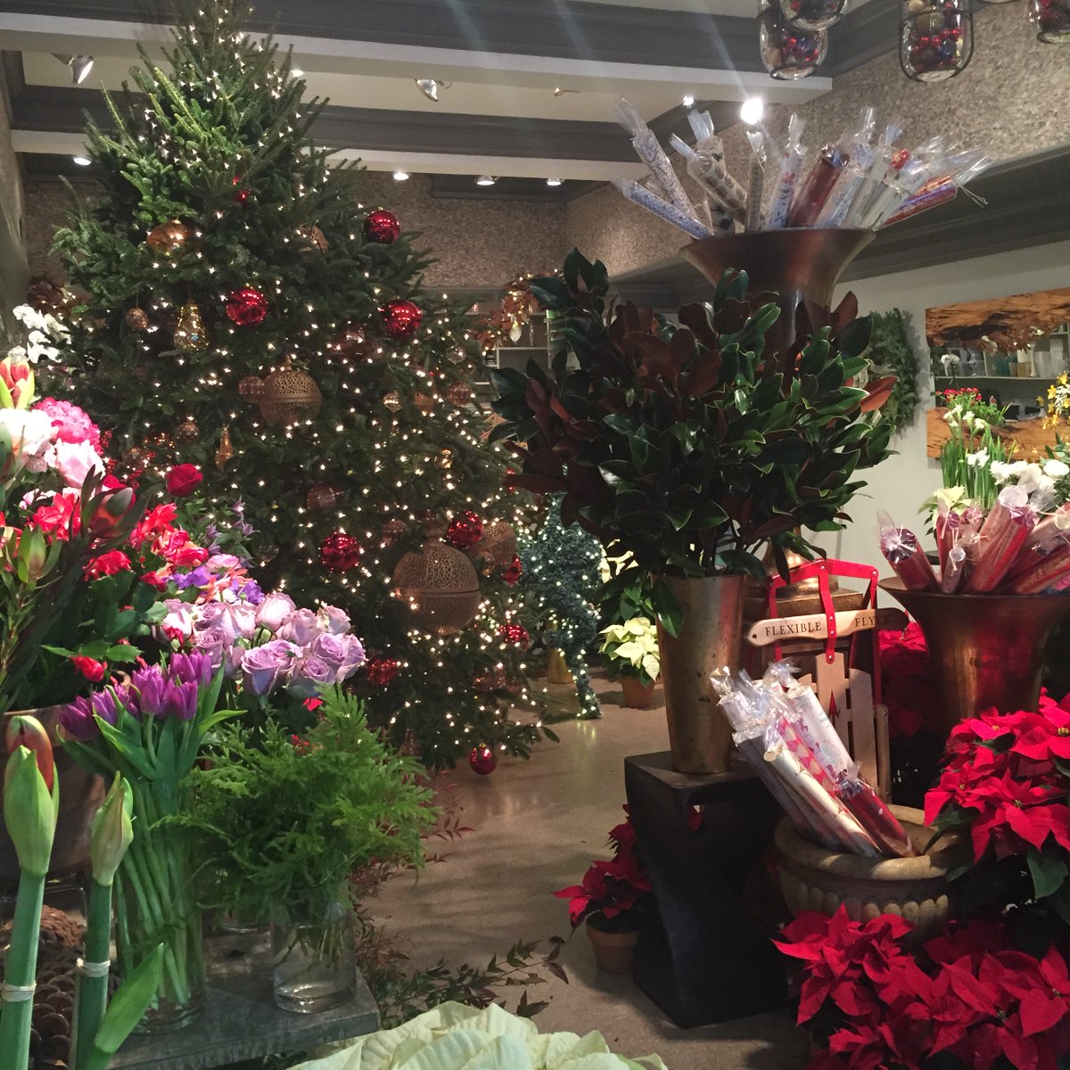 Renny & Reed tweet media