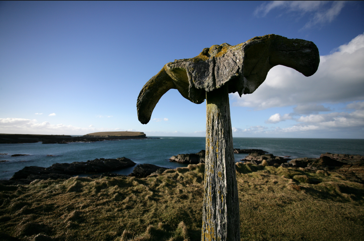 Orkanna's tweet photo. Stunning photo of the 'Whalebone' in Birsay by local photographer Gavin Walls. Hope to put this one in the app! https://t.co/MXfsY45RCp