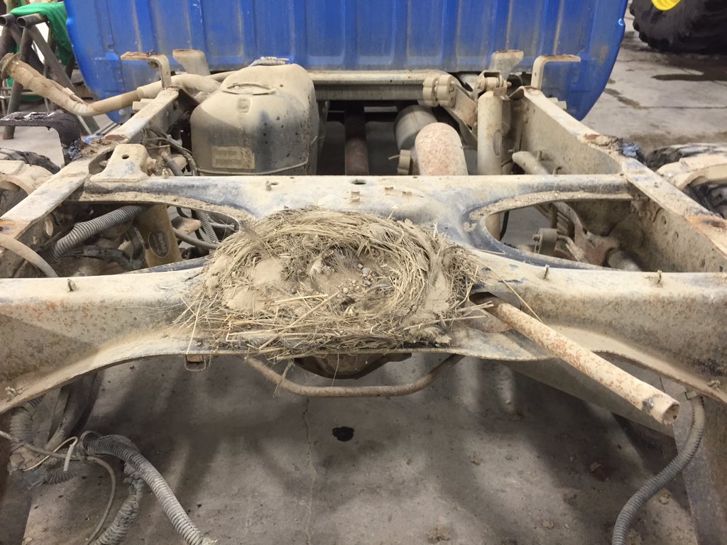 RMB2020ltd's tweet photo. .@TheRealJessbob flat deck before... Complete with birds best https://t.co/28wSH3ACbD