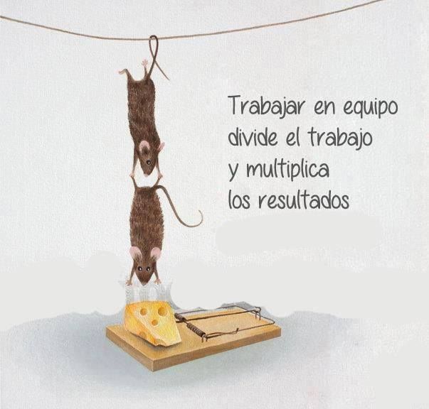 r95_andrea's tweet photo. La importancia del trabajo en equipo #PEDUBU15 https://t.co/HoowXInofN