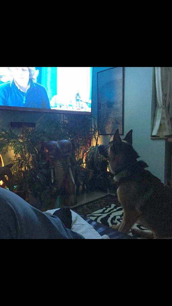 handsonsappeal's tweet photo. After spending time watching dinosaurs in 3D... https://t.co/y0h6gH4RwY