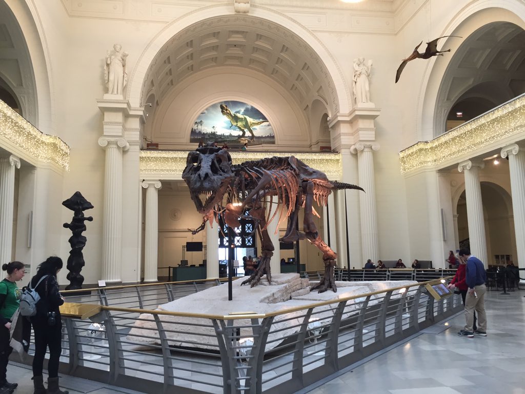 OurNewFish's tweet photo. Merry Christmas @PeteLarsonTrex https://t.co/QA5uhZUsIL