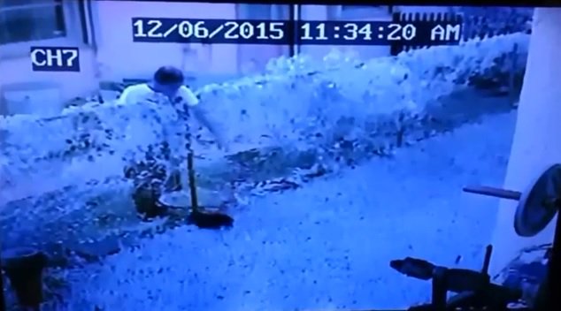 Boy caught on camera stealing #puppy from South Florida home bit.ly/21KbHL2?utm_me… https://t.co/8AnbSQylGv