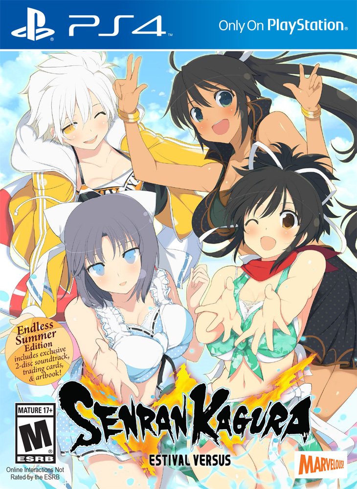 XSEEDGames's tweet photo. SENRAN KAGURA ESTIVAL VERSUS Endless Summer edition is coming to North America! Pre-orders will be up soon. https://t.co/wuxaxAuHfG