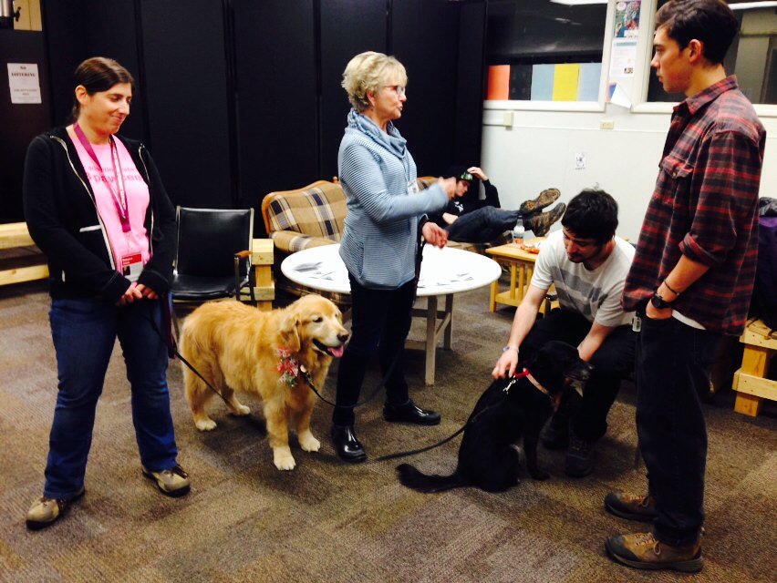 WillardAltHS's tweet photo. Ss @umontana HHP Dept visit Ss @WillardAltHS w/ #therapy_dogs #calming #huggable https://t.co/5nsNAfds2d