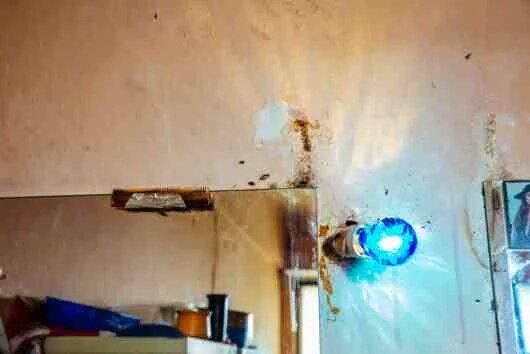 View image on Twitter