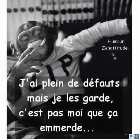 ladotreofficiel's tweet image. 