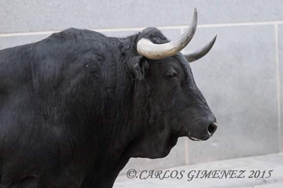 SiAlsBousAlCarrer tweet media