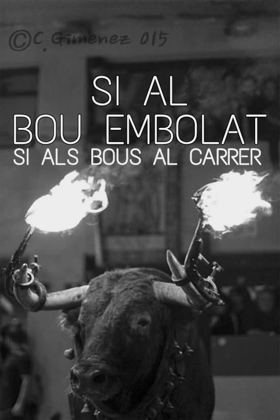 SiAlsBousAlCarrer tweet media