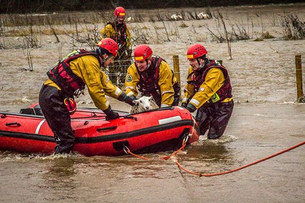 MirrorPolitics's tweet photo. Top Tory thanks firefighters for flood rescue work - despite slashing their jobs https://t.co/HJP7pZ9pgZ https://t.co/dZH1tzXmuq