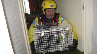 SteveJByrne's tweet photo. RSPCA flood teams rescue animals AND people during Storm Desmond https://t.co/s9Dv0gztQ0 https://t.co/2jtxULHvrM
