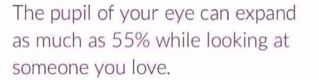 TotalDickDad's tweet image. 