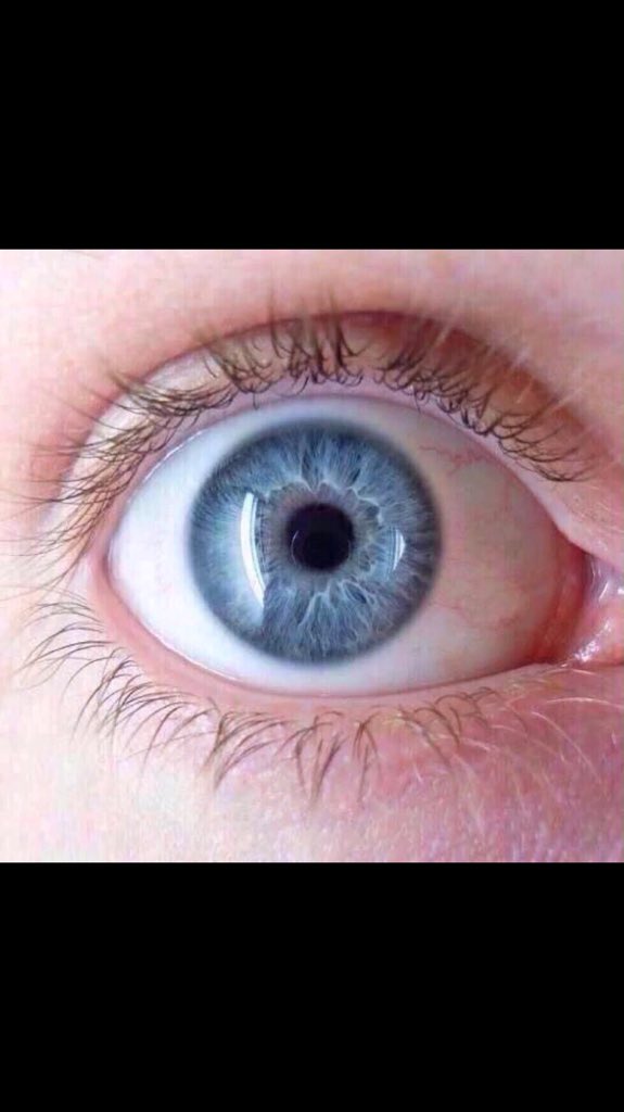 TotalDickDad's tweet image. 