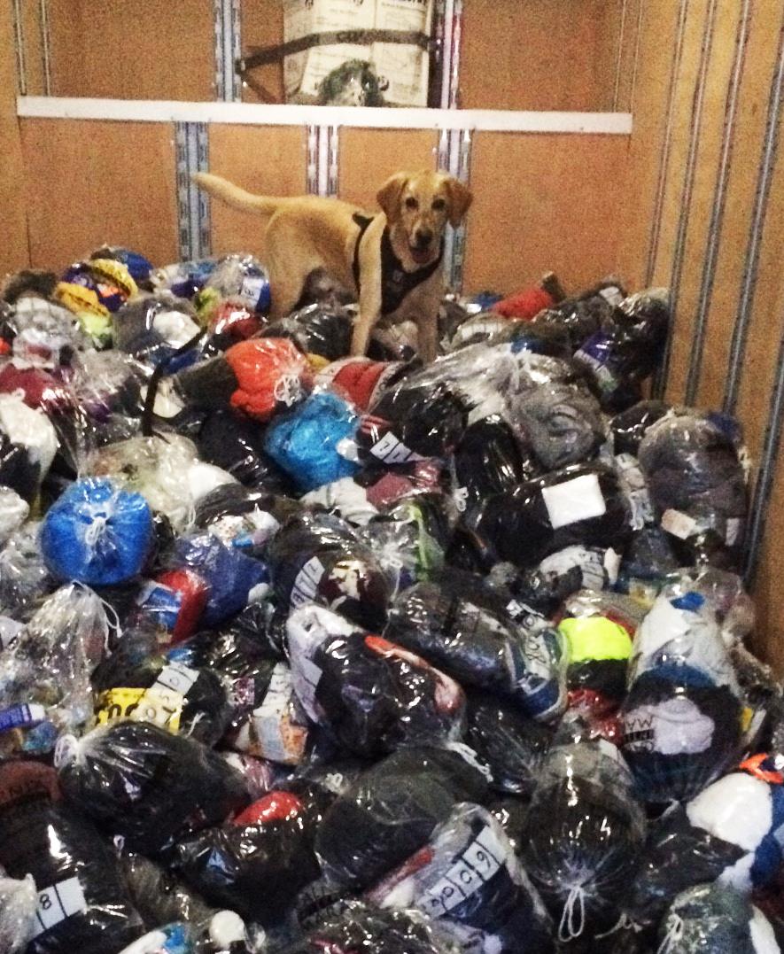 K9 Astro is trained to perform security sweeps at large events. He was right at home yesterday at #CIM2015!