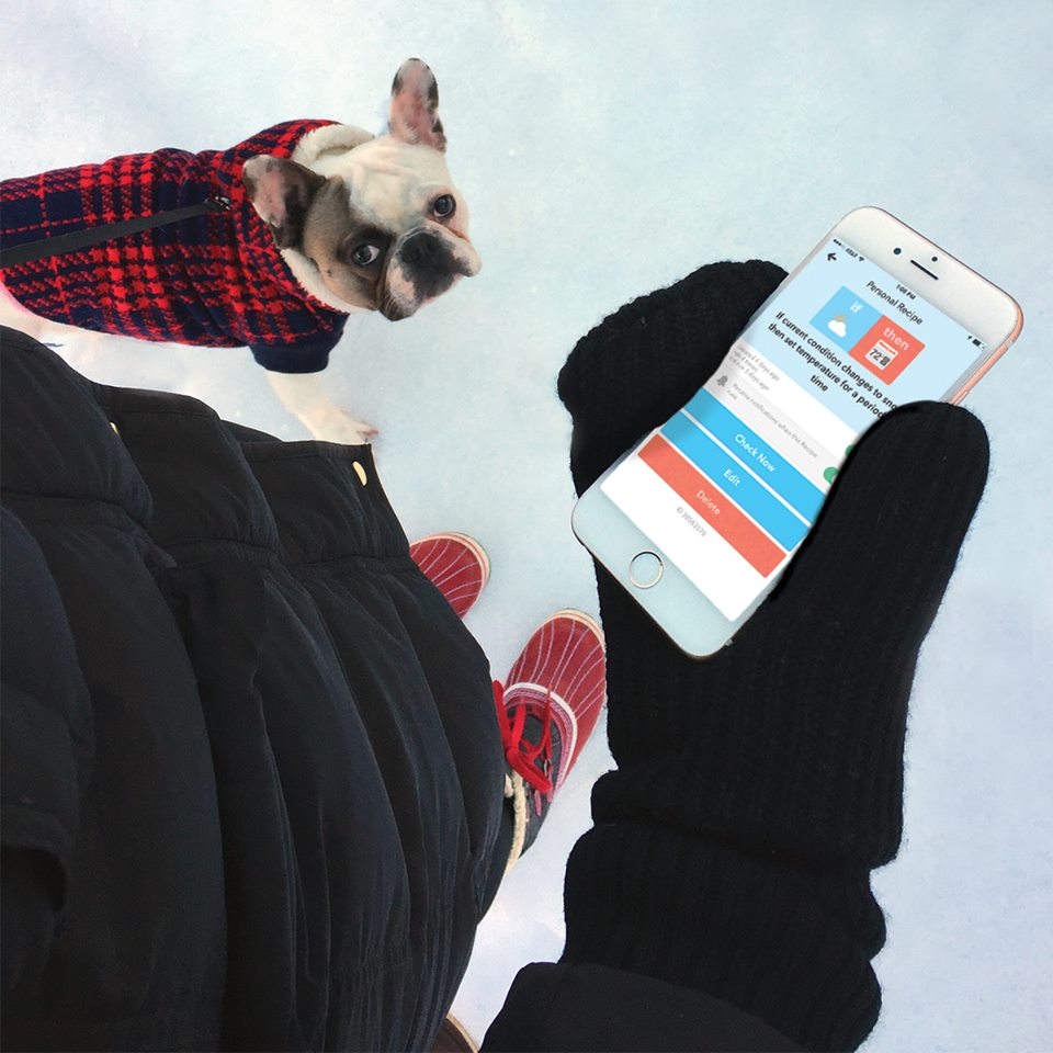 FonzyFrenchie's tweet photo. Made my modeling debut for @honeywellhome this weekend. So much fun! #ModelMonday https://t.co/AZRvgcuc8y