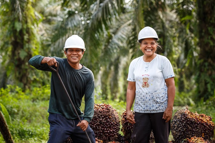 7.9 million #Indonesia consumers ready to shift to #sustainable #palmoil buff.ly/1NC3h2c
