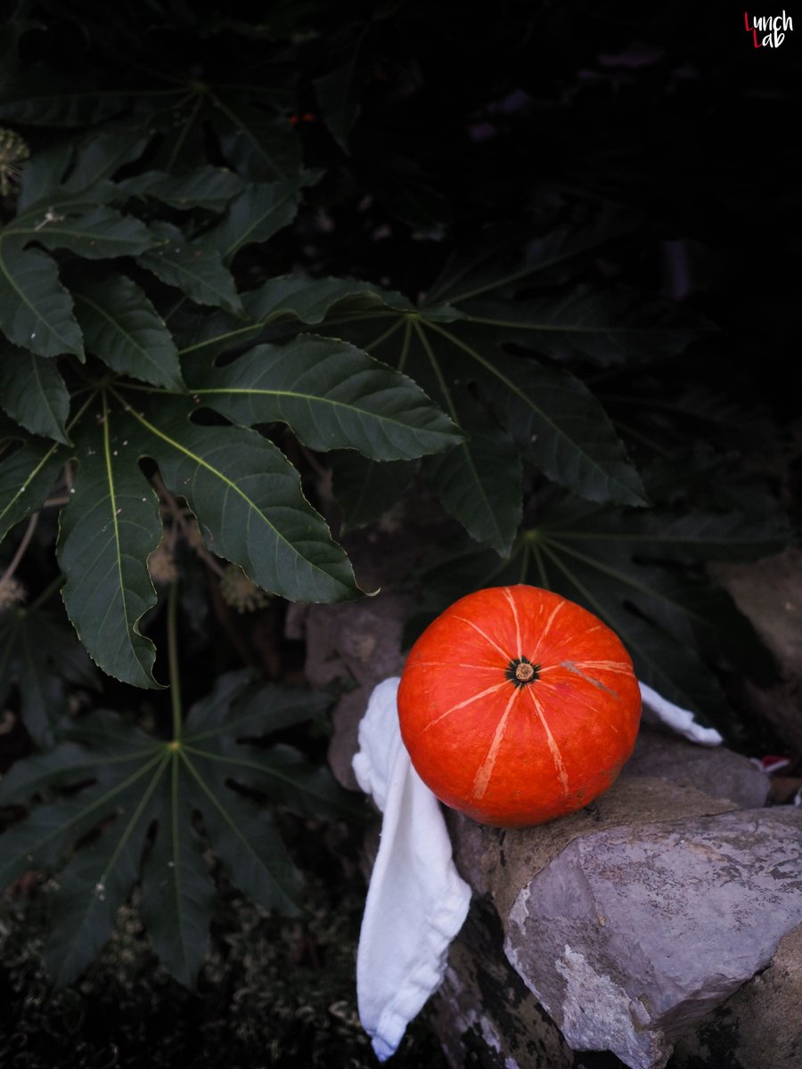 lunchlab tweet media