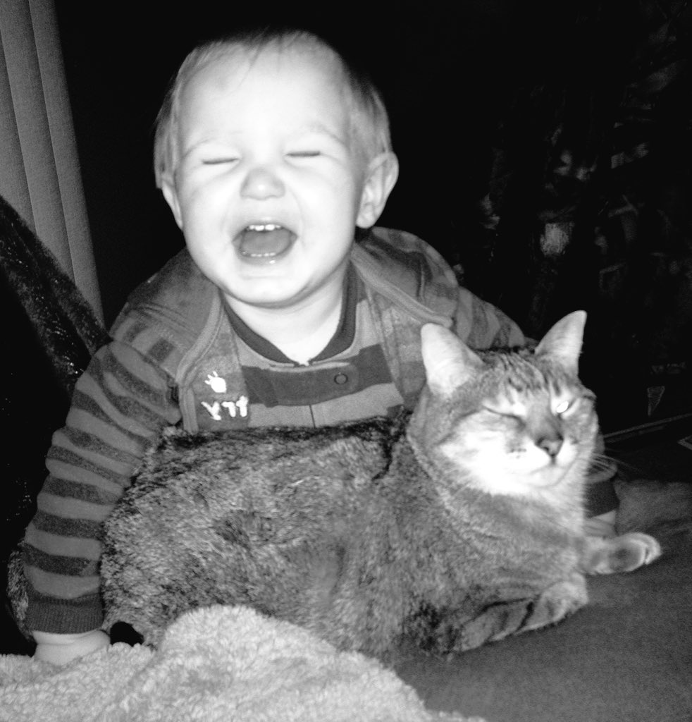 auraborealis199's tweet photo. Hahaha what a cutie https://t.co/F5Z4KR2XTS