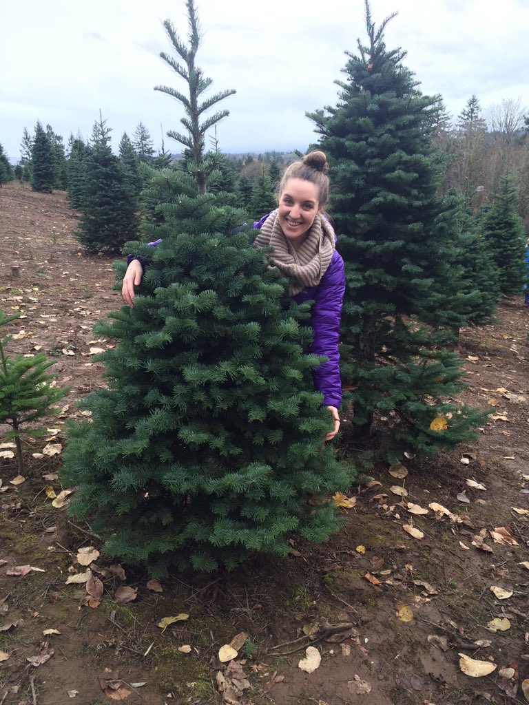 Christmas tree time #holiday #tistheseason #griswolditup #SirNoble