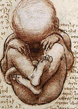 SutherlandInst's tweet image. Of people and property buff.ly/1SJNv5k #utpol #embryos #FertilityTech