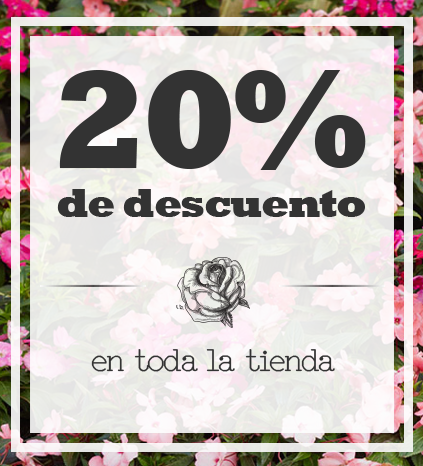 MandaRosas's tweet photo. Aprovecha 20% de descuento en toda la tienda. No dejes pasar esta oportunidad!!!
#MandaRosas mandarosas.mx https://t.co/fUq3bx7IVI