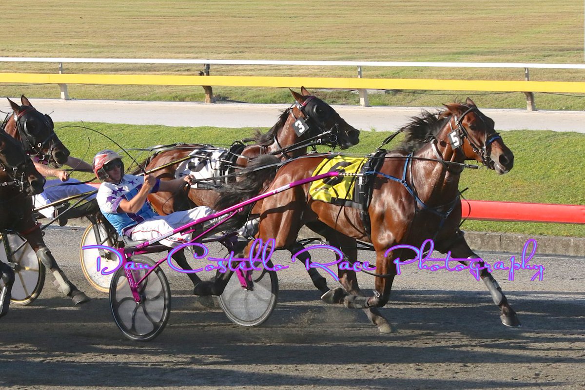 Dan Costello (@danracingwrap) on Twitter photo Feel The Courage with <a href="/McmullenPeter/">peter mcmullen</a> hold off all the challengers to win R6 @AlbionParkHRC for <a href="/turpinmcmullen/">TurpinMcMullenRacing</a> Feel The Courage with <a href="/McmullenPeter/">peter mcmullen</a> hold off all the challengers to win R6 @AlbionParkHRC for <a href="/turpinmcmullen/">TurpinMcMullenRacing</a>