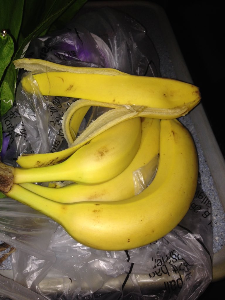 laughing1983's tweet photo. @adewsnap just on route worrying I haven't got enough bananas to see me to lunch would u grab 6 or so? #SFRM #itson https://t.co/LS7QopQtAe
