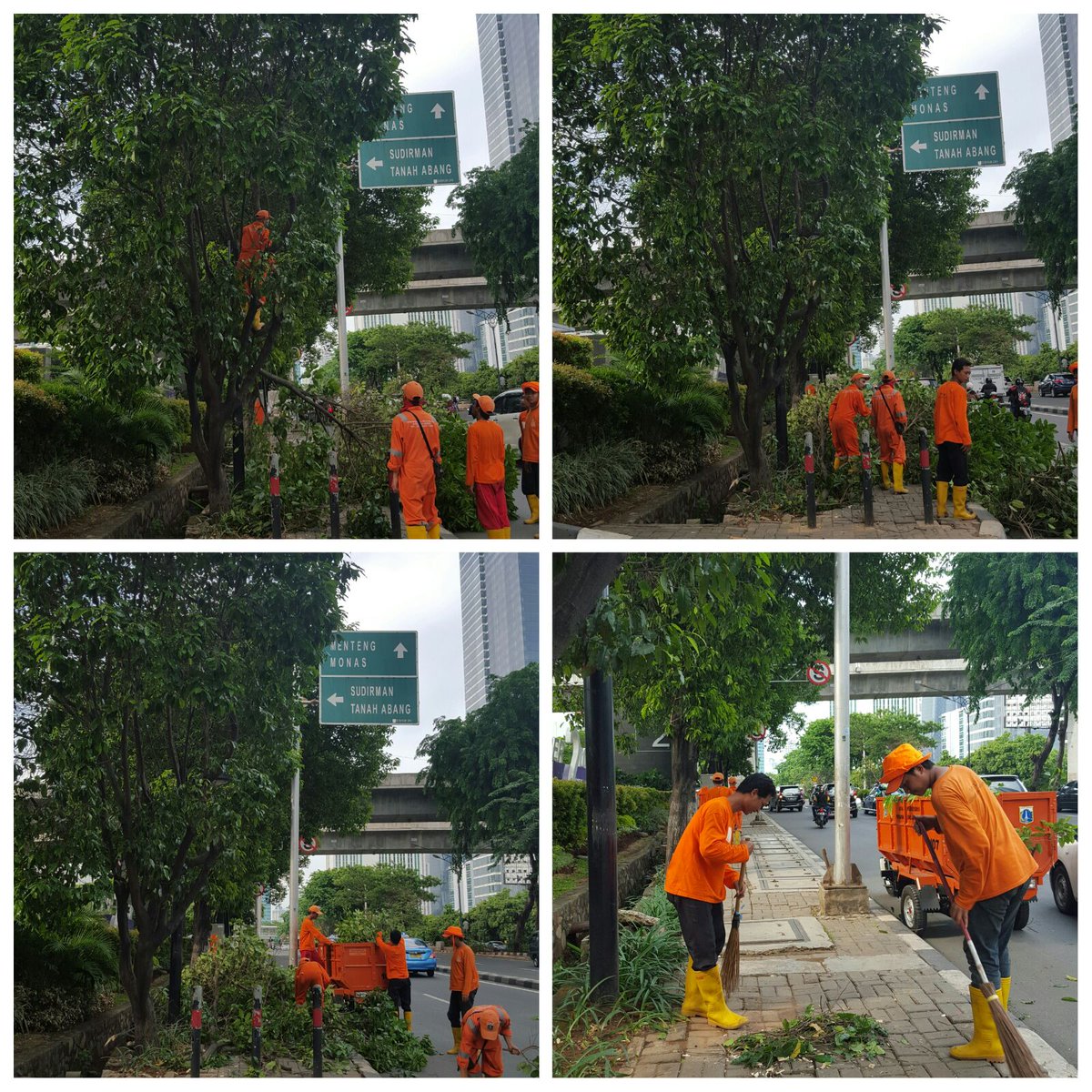 PPSU Penopingan pohon menghalangi Rambu Jl.Rasuna Said <a href="/kecsetiabudi/">Kecamatan Setiabudi</a> <a href="/KotaJaksel/">Kota Jakarta Selatan</a> <a href="/SudinTamkamJb/">SudinTamkamJb</a> <a href="/BeritaJakarta/">Berita Jakarta</a>