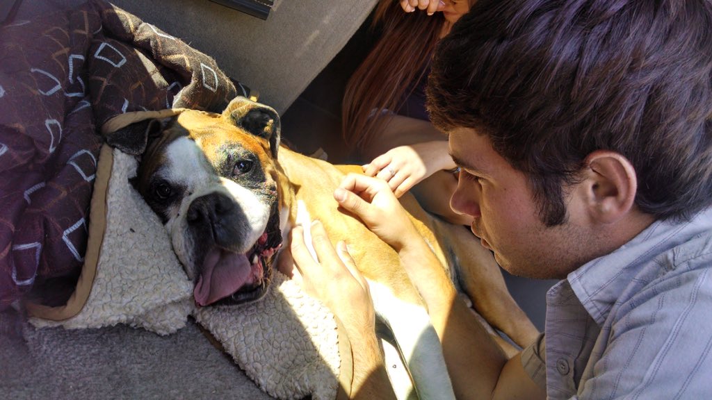 destiny__22's tweet photo. Miss you like crazy baby boy 😭😭😭 #ForeverChevy https://t.co/Q9qjlc2N63