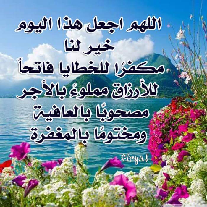 قطر الندى (@mohmed999375) on Twitter photo 