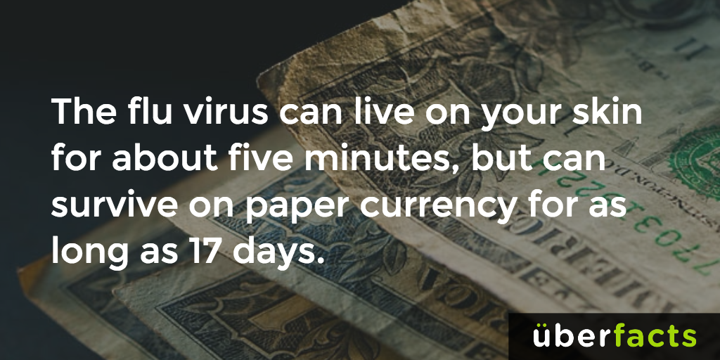 UberFacts's tweet photo. Gross. https://t.co/GHOYxGwWAD