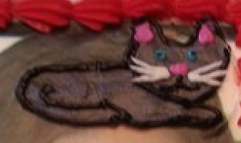 CakeCatMcGee's tweet photo. I am born. https://t.co/4f4fXBktct