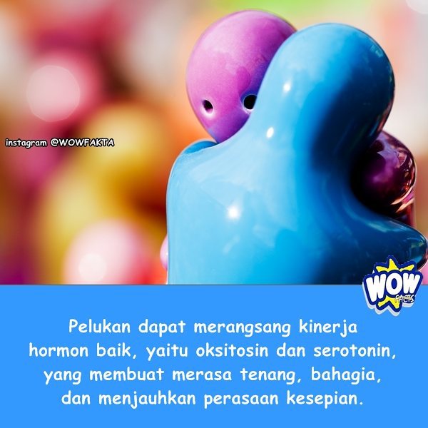 kontenwow's tweet photo. Faktagram hari ini: #tahukahkamu #tahukahanda #wowfakta #fakta #faktanya #wow #mostpopular … https://t.co/4ItLeWNFHj https://t.co/kX4Jo1mPpI