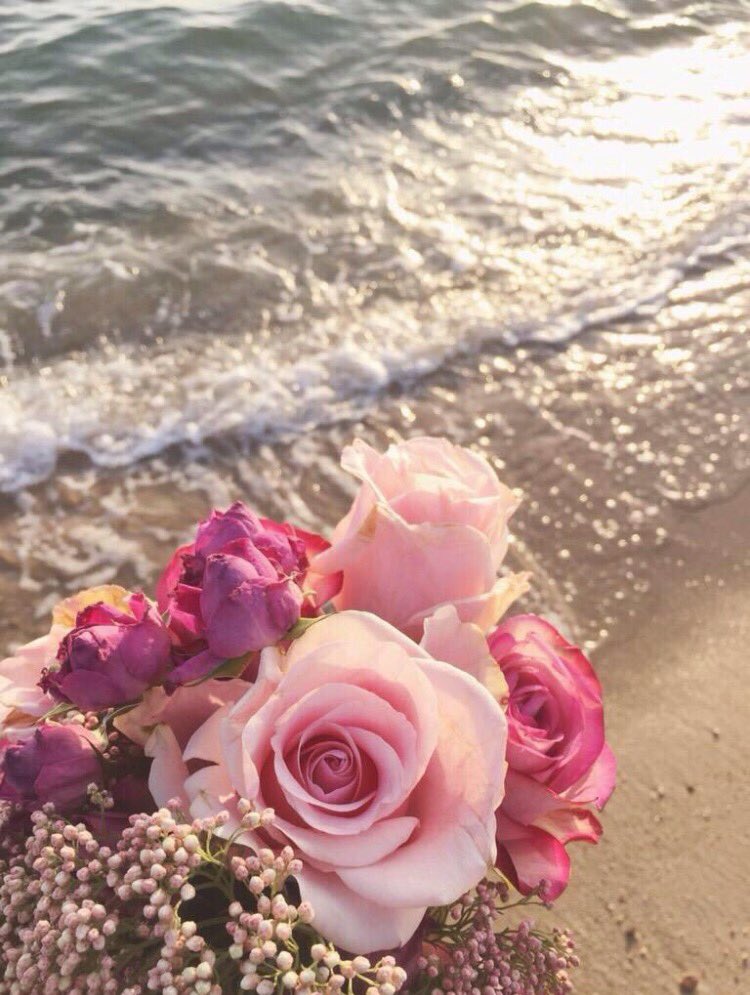 Nnn___100's tweet photo. لحظات أحس انك قريب ،، واتأملك .

لحظات عن عيني تغيب ،، واتخيلك .

واجيك مشتاق ..

#صباح_الثلاثاء 
#صباحيات ✨ https://t.co/JBONrx80OW