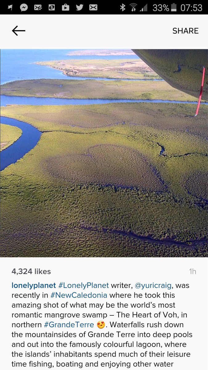iresin2014's tweet photo. What a wonderfull pic keep our planet green
#iresin #permeablesurfacing https://t.co/uFSo0Cqa7h