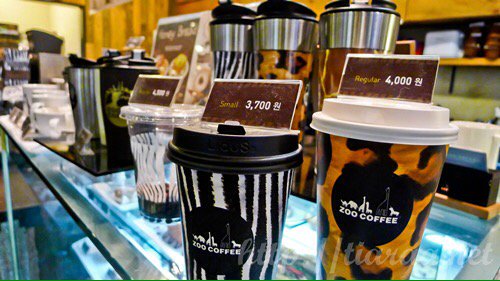 _colourless's tweet photo. 韩国 Zoo Coffee 🙊 https://t.co/aKdhV5CRuD