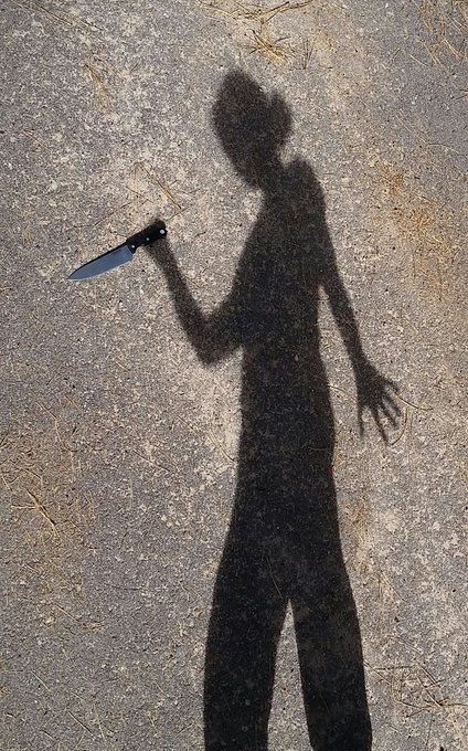 #feartheshadow movie contest check out https://t.co/22oTYBO2el @TheWarningMovie https://t.co/6aE241A<a href="/tag/feartheshadow"class="tags">#feartheshadow</a>