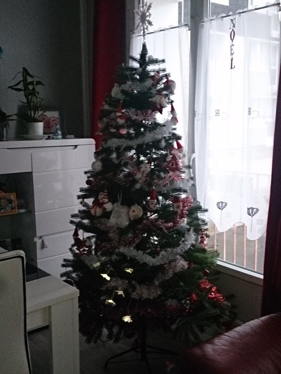CelineRealC tweet picture