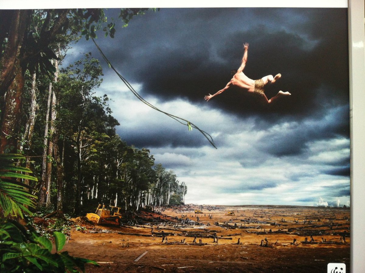 FBonnifet's tweet image. La déforestation va poser également un problème à Tarzan, la preuve en image 😂 #humour @COP21 @WWF_Climat