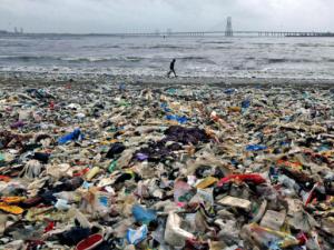Sea No Plastic tweet media