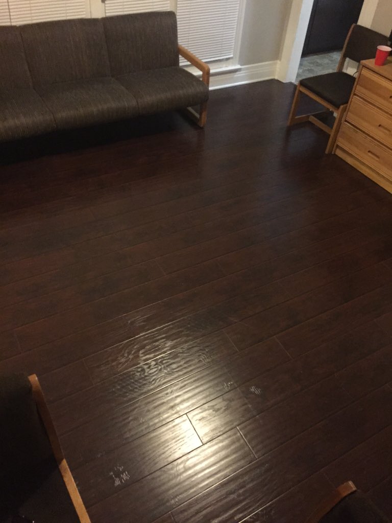 RoryTheGiraffe's tweet photo. I can finally see the floor. Good job @Mattypi0225 @jakobhankins @michaelowenssss #springcleaning #wintercleaning https://t.co/GQV9FLPrSi
