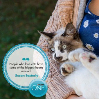 PurinaOneSA's tweet photo. Aww. We have to agree with this one. https://t.co/J2PzTmckyv