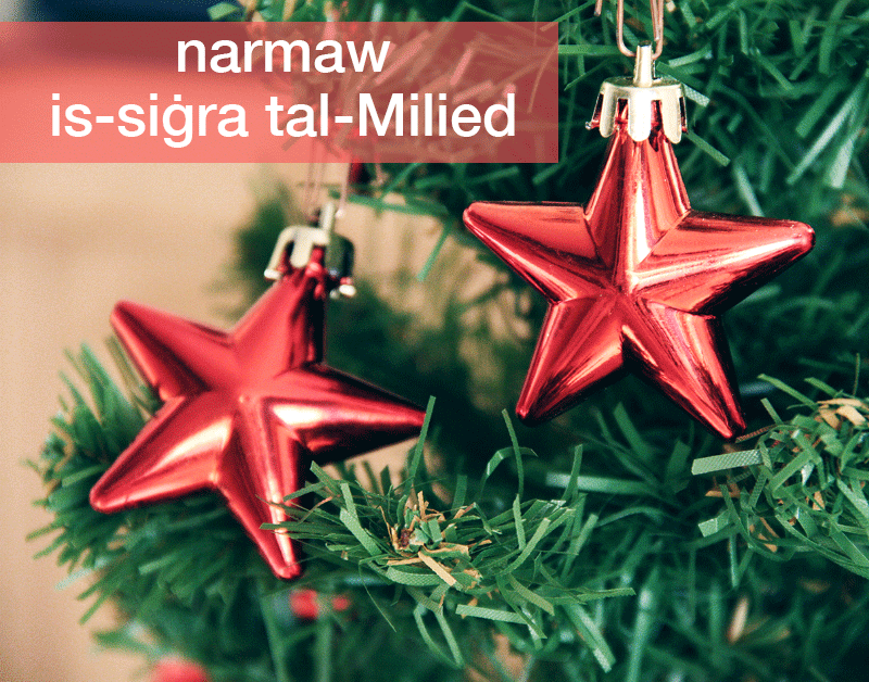 MLTAvic's tweet photo. Definition: We decorate the christmas tree. #learnmaltese #christmas https://t.co/KK2hqwe1CW