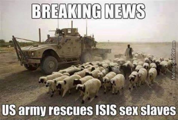 Medictaylor1983's tweet photo. #Daeshsucks #OperationIsis #whatajoke #Anonymous https://t.co/8BGX3XRK34